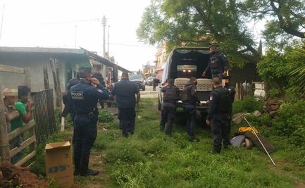 Rescata a 13 perros en situación de abandono y maltrato en Michoacán