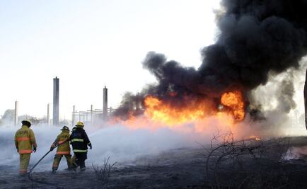 Pierde Guanajuato 671 ha. forestales en 2015