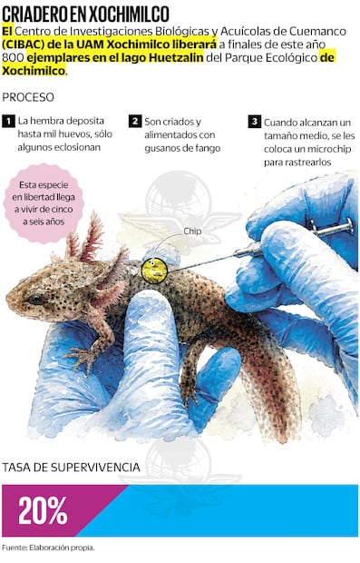 Fuente: Elaboración propia