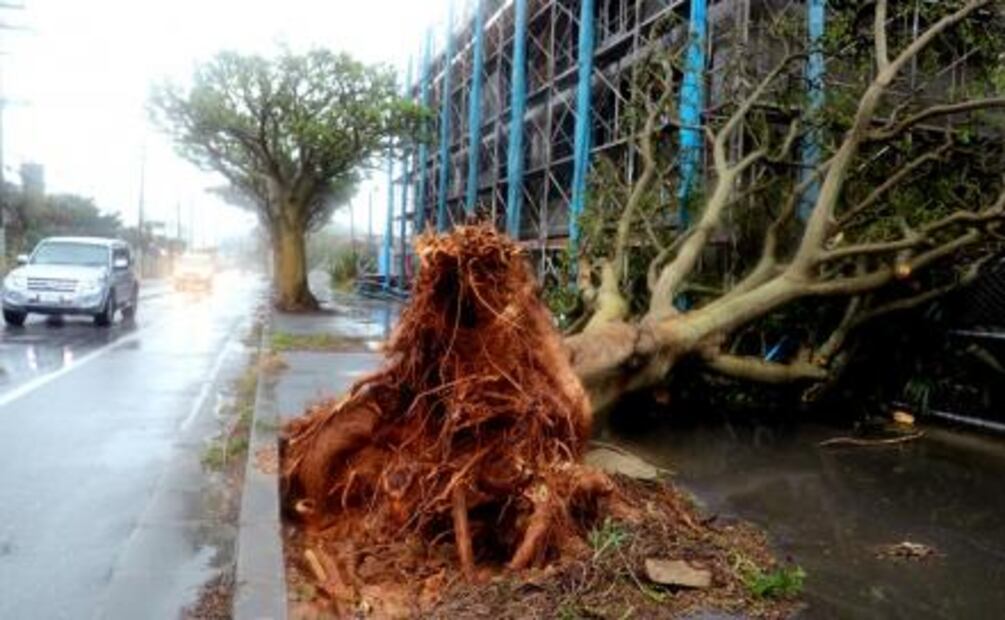 Tifón “Trami” deja cuatro muertos y más de 100 heridos en Japón