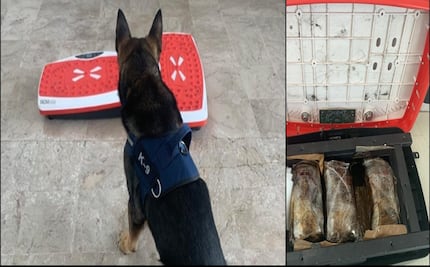 Aseguran droga oculta en plataformas de vibración fitness en aeropuerto de Culiacán