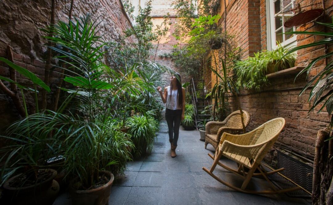 Entre barrios como Santa María la Ribera y San Rafael también queda mucho por descubrir. (Foto: Alan Carranza/ El Universal)