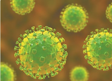 ¿Cómo se originó el mortal virus Nipah que preocupa a India?