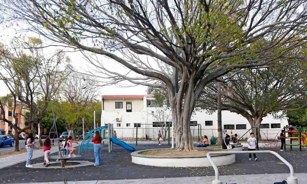 Aprovechando el domingo, las familias salieron a los parques para que los niños pudieran jugar un rato, con total normalidad. Foto: Miguel García / EL UNIVERSAL