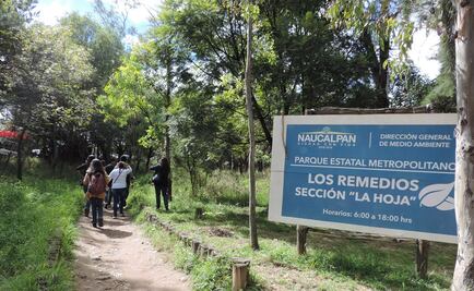 Organizan brigada para buscar a Abraham Enyanche, alumno del CCH Naucalpan