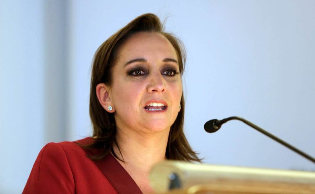 Perfil. Claudia Ruiz Massieu Salinas