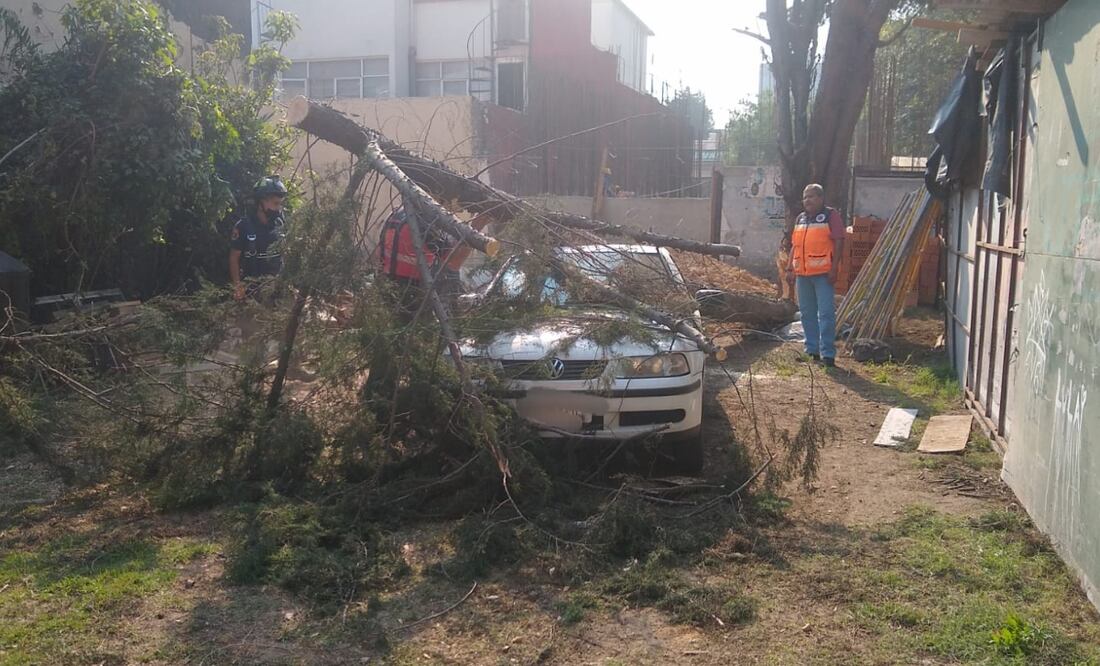 Los fuertes vientos pueden provocar la caída de un árbol sobre algún auto, tal como sucedió en esta imagen tomada en la Alcaldía Benito Juárez. Imagen: SEGIRPC