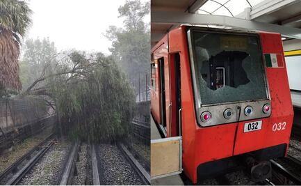 VIDEO: ¡Otra vez! Fuertes lluvias en CDMX tiran árbol sobre vías del Metro, ahora en la Línea 5; ya se restableció el servicio