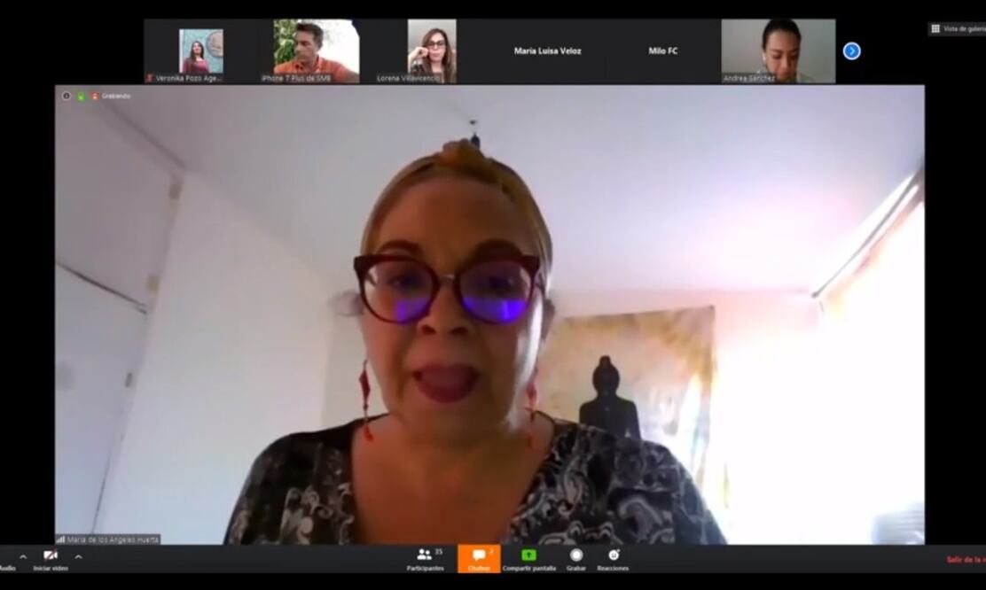 María de los Ángeles Huerta, diputada. Foto: Captura Twitter