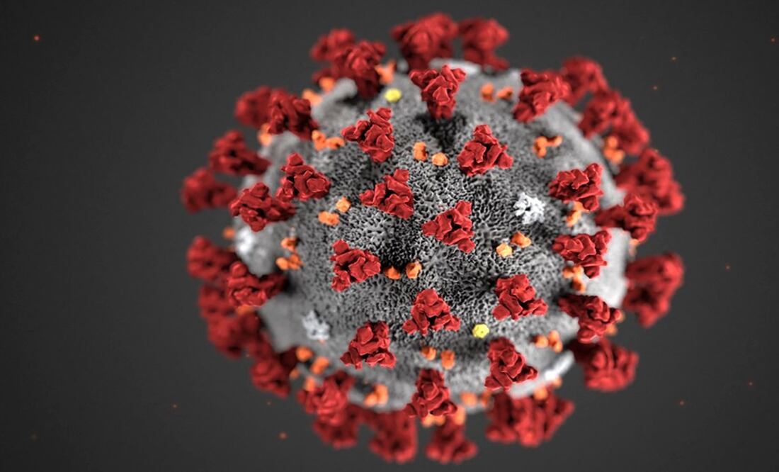 Foto: archivo/EL UNIVERSAL