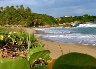 Mueren dos estudiantes de la UNAM que fueron arrastrados por el mar en Oaxaca