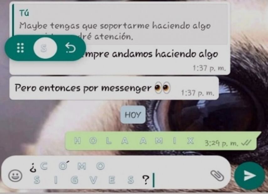 Cómo cambiar el color de la letra de tus mensajes de WhatsApp