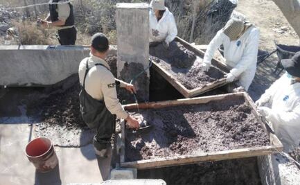 Familias denuncian tardanza en entrega de restos de sus seres queridos hallados en fosa de NL