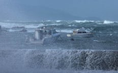 Olas gigantes azotan Nueva Zelanda; autoridades desalojan a cientos de habitantes