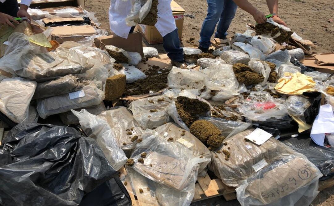 El Ministerio Público Federal (MPF), coordinó la identificación y realizó las diligencias de conteo, pesaje e incineración de narcótico. Foto: Especial