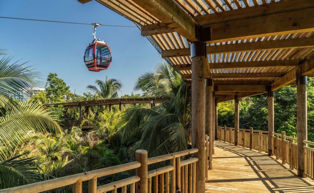 El teleférico de Vidanta World tendrá una altura máxima de 48 metros. Foto: Vidanta