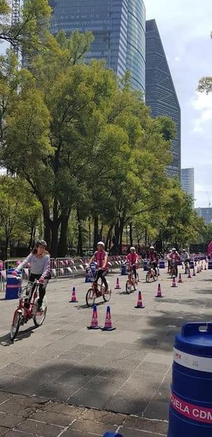 Diciembre en el Bosque de Chapultepec: qué hacer y ver