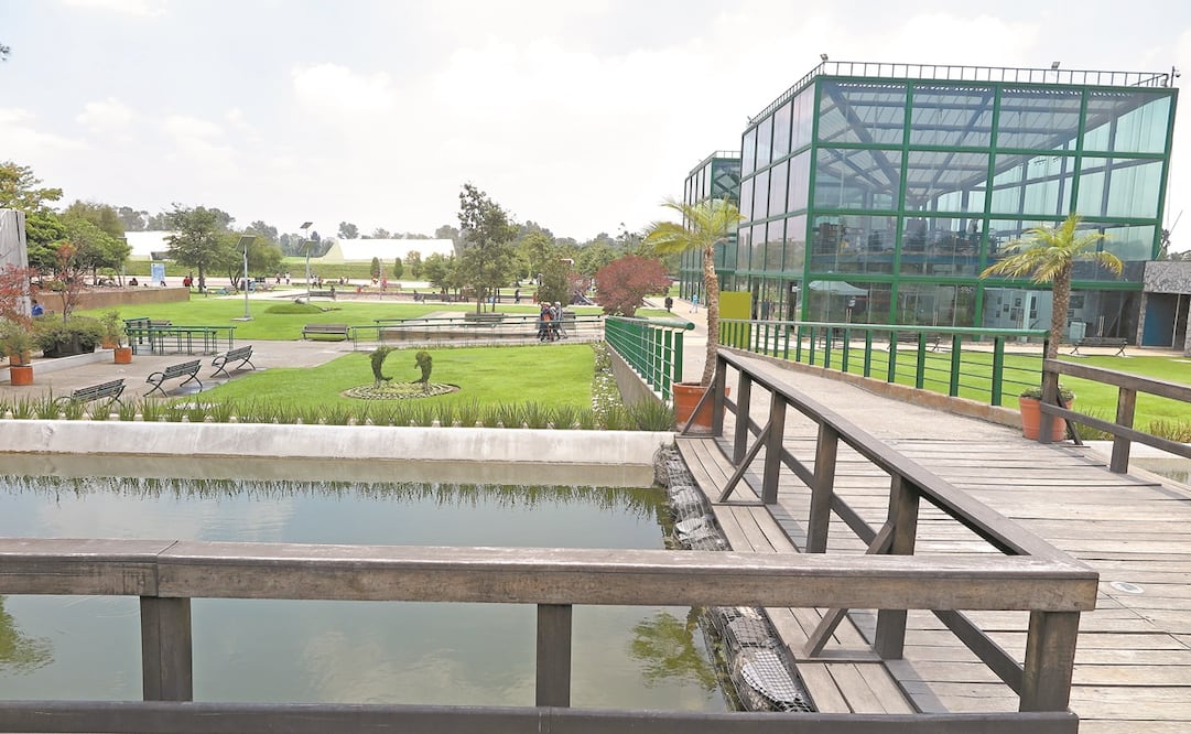Cuenta también con un auditorio, cinco jardines y un museo. Foto: Archivo el Universal 