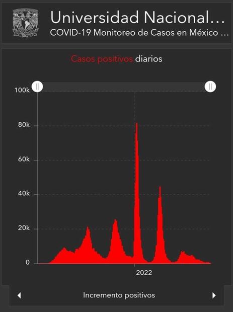 Plataforma de información geográfica de la UNAM sobre Covid-19 en México. Foto: Especial