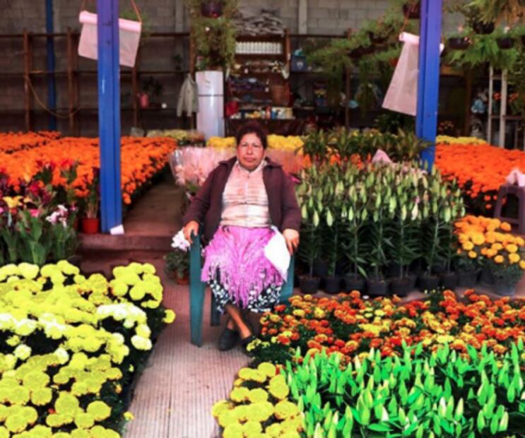 5 cosas que no conocías de la Central de Abasto