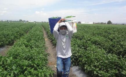 Actividad Económica creció 2.1% en mayo