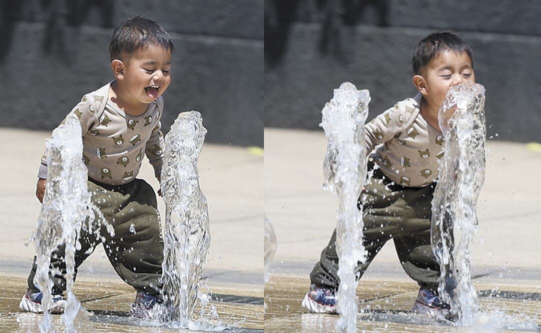 Foto: Juan Boites / EL UNIVERSAL