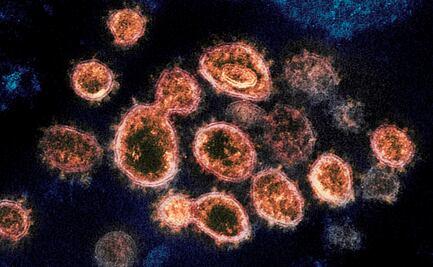 Oxford desarrolla prueba que detecta Covid-19 en menos de 5 minutos