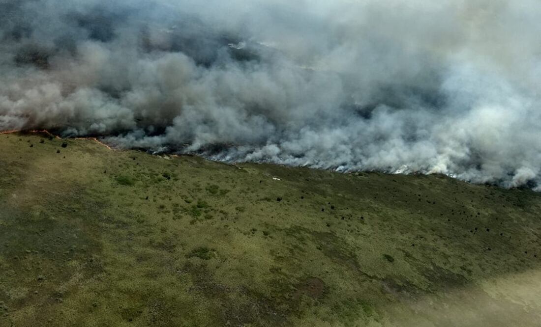 Foto: Cortesía SEMA Quintana Roo
