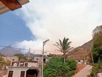 Recortes a Conafor favorecen incendios