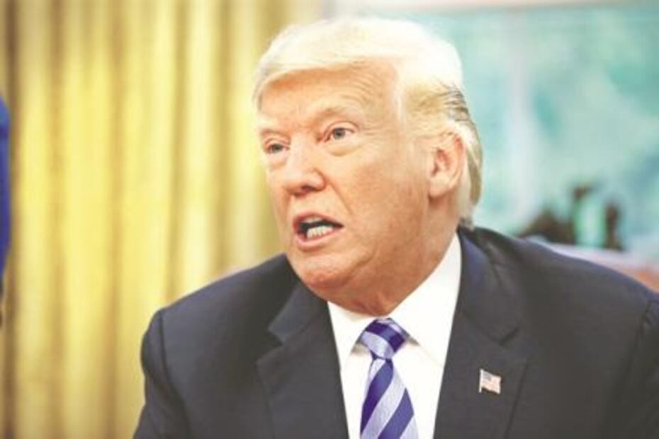 El Foco. ¿Qué celebra? Que ganó AMLO... ¡a bailar Tiburón, tiburón!