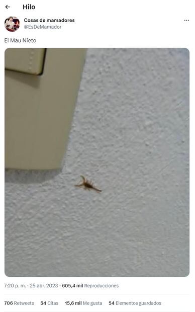 Foto: Captura de pantalla tomada de Twitter