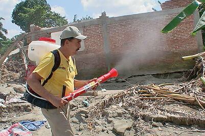 Autoridades protegerán a turistas de chikungunya