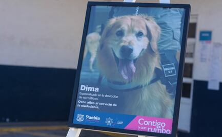 Despiden con honores a Dima, agente canino de Puebla