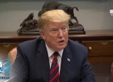 Trump ordena suspender los vuelos de Boeing 737 MAX 8 y 9