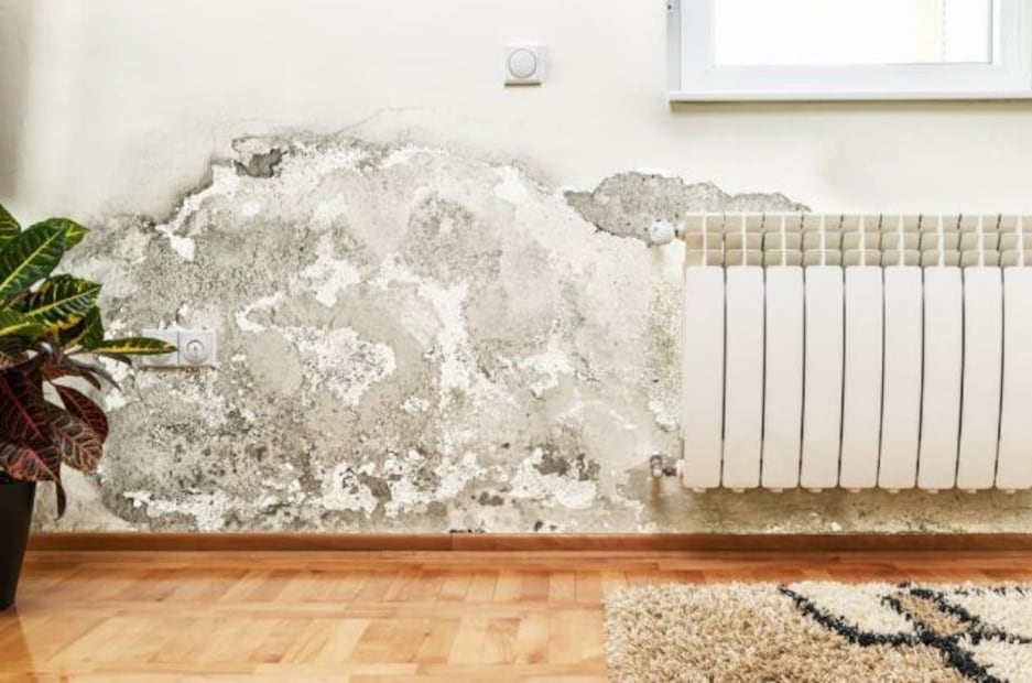 Algunas humedades pueden indicar daños estructurales o problemas en tuberías. Foto: Pexels