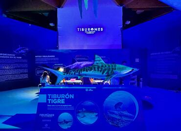 Lánzate a la experiencia inmersiva de tiburones en Chapultepec