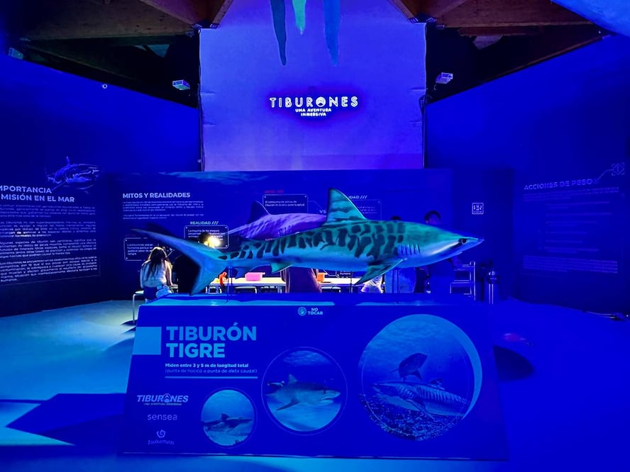 Foto: Omar Moreno/El Universal