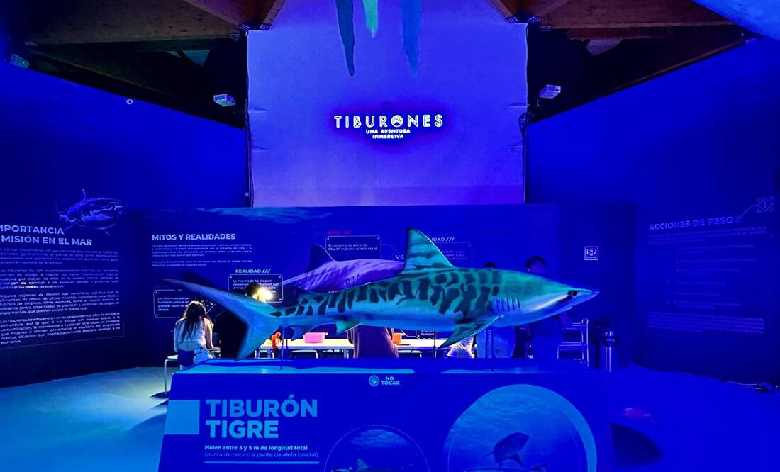 Foto: Omar Moreno/El Universal