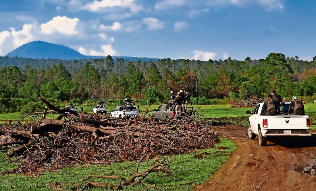 Medio Ambiente de Tlalpan considera positivo que se fortalezcan los operativos contra la tala. Foto: Hugo Salvador | El Universal