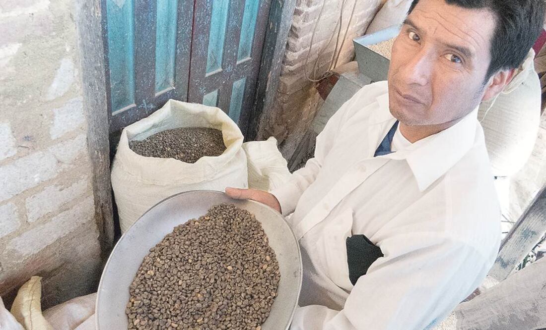 Desde hace más de un año la roya devastó parcelas de más de 200 familias que integran la cooperativa Guerrero Maya, en los Altos de Chiapas