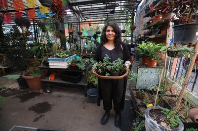 Huertos urbanos, el espacio de cuidado para el medio ambiente y para ti