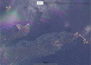 Denuncian ONG un derrame de crudo en Golfo de México; calculan que es de más del doble de la ciudad de Guadalajara