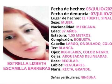 Detienen a presunto feminicida de Estrella Lizbeth “N" en Sinaloa; su cuerpo estaba calcinado