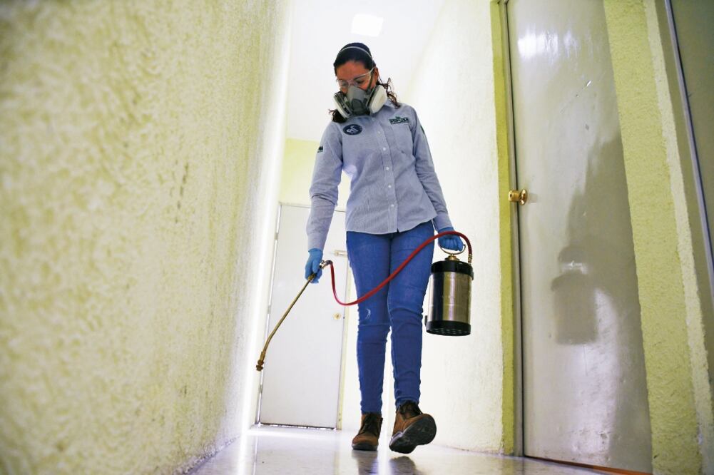 Los insecticidas "normales" con el tiempo dejan de ser efectivos en el combate a las plagas, según los especialistas (FOTO: PATRICIA MORALES. EL UNIVERSAL)