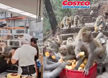 ¿Guerra de los pasteles en Costco? Videos y memes muestran furor de los clientes