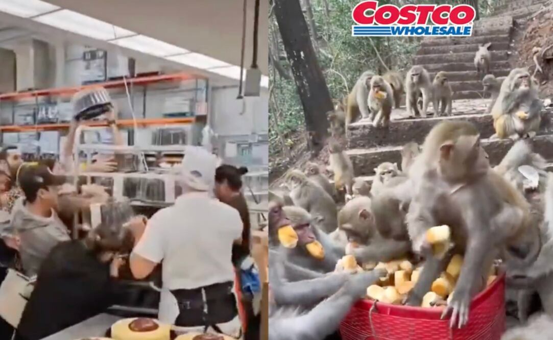En redes sociales se han viralizado videos y memes por la "guerra de los pasteles" que ha dejado la venta en Costco. / Foto: Captura de pantalla video de "X" @ArturoGarzaX y video @adanvecindad.