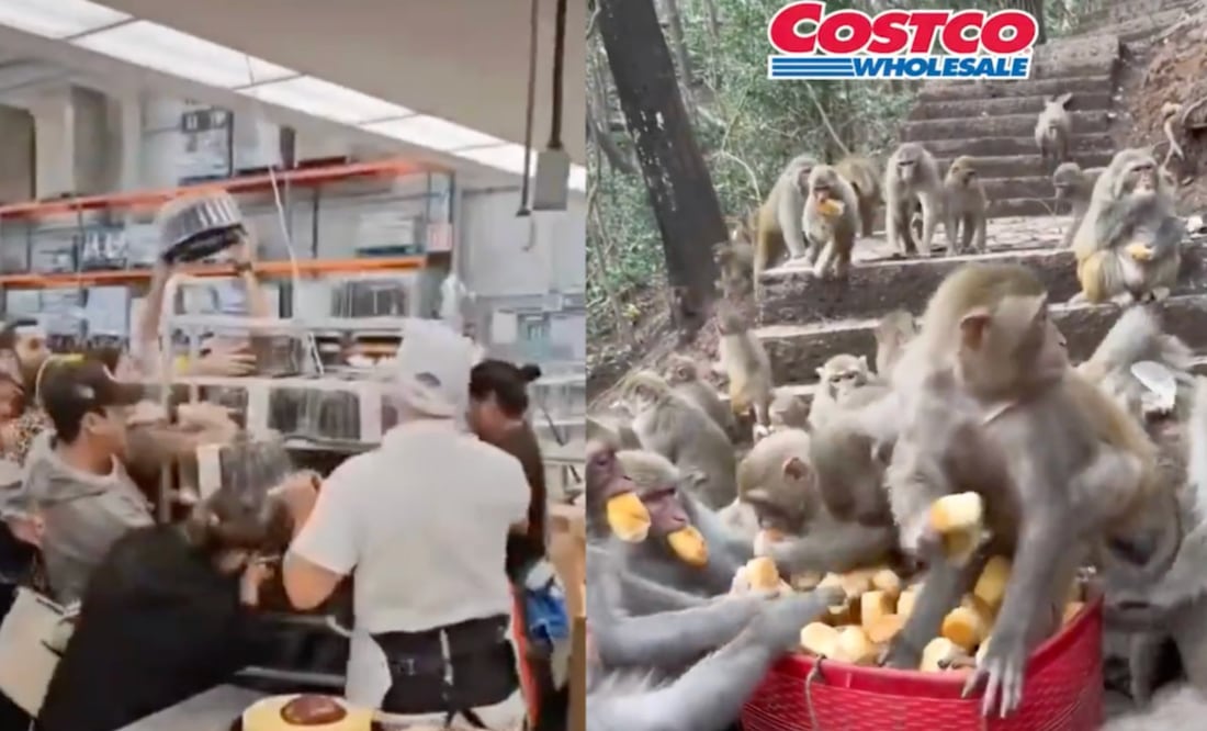 En redes sociales se han viralizado videos y memes por la "guerra de los pasteles" que ha dejado la venta en Costco. / Foto: Captura de pantalla video de "X" @ArturoGarzaX y video @adanvecindad.