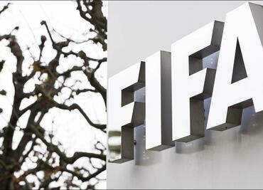 Reguladores de México, EU y Canadá unen fuerzas contra prácticas monopólicas en Mundial de 2026