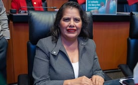 Morenista presenta iniciativa contra doble nacionalidad; amplía restricción para candidatos del Senado