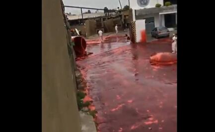 Calle en Argentina "se inunda" de sangre animal